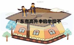 福建有高升本的学校不